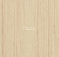 Линолеум Forbo Marmoleum Linear Striato Original 5230 white wash фото 1 | FLOORDEALER